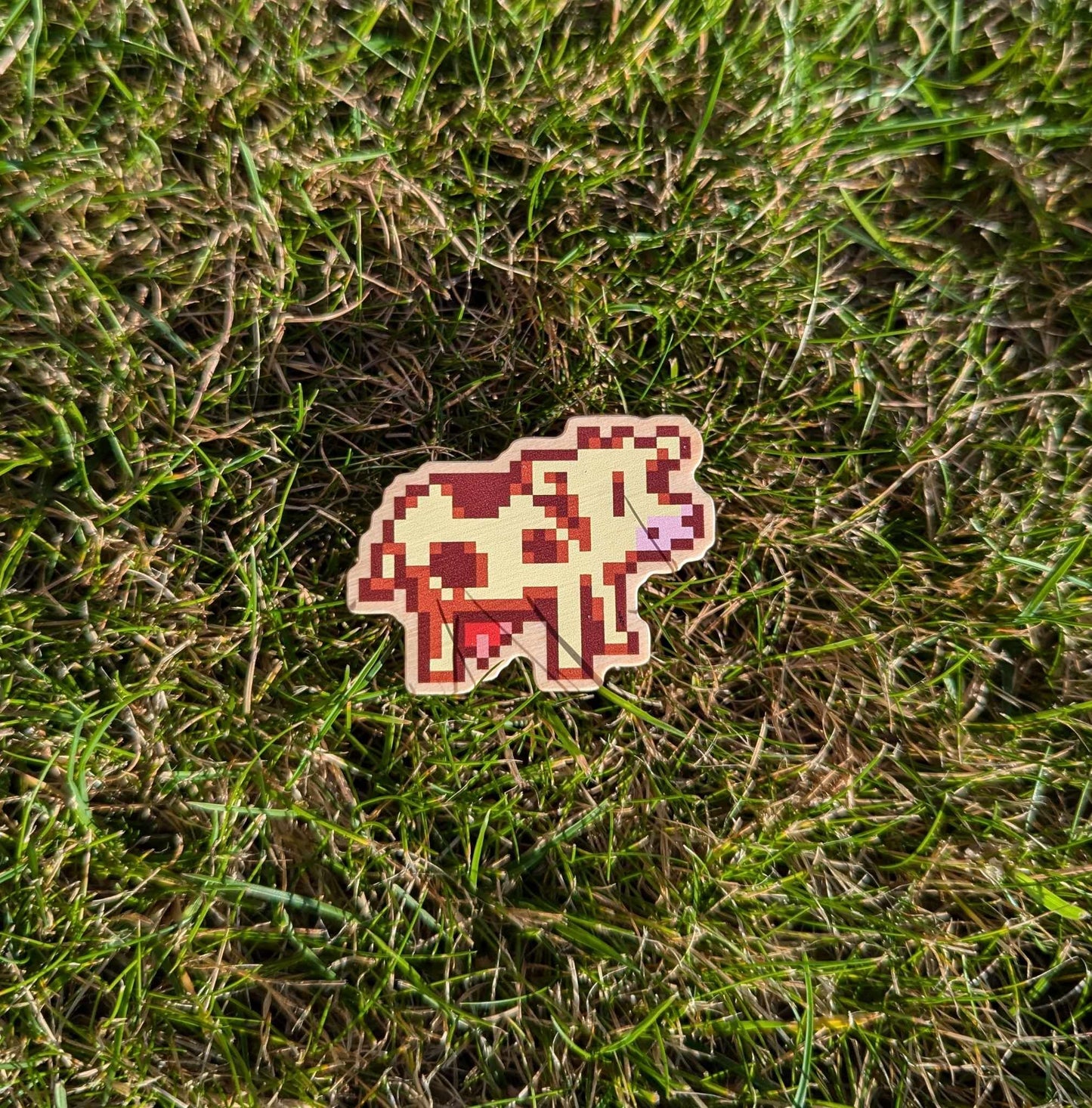 Farmers Special Stardew Inspired Wooden Pin