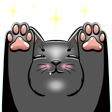Kitty Emote Packs!